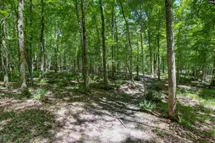 Fulmer Rd, Blythewood, SC 29016 - Photo 2