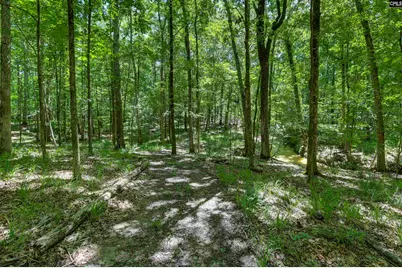 Bright Myers Road, Blythewood, SC 29016 - Photo 1