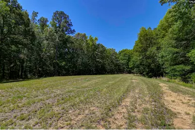 Bright Myers Road, Blythewood, SC 29016 - Photo 4