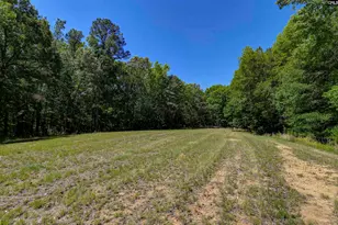 Bright Myers Rd, Blythewood, SC 29016 - Photo 4