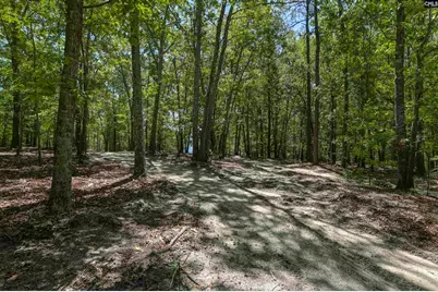 Bright Myers Road, Blythewood, SC 29016 - Photo 6