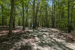 Bright Myers Rd, Blythewood, SC 29016 - Photo 6