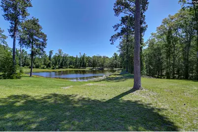 Bright Myers Road, Blythewood, SC 29016 - Photo 8