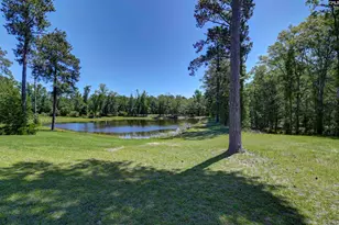 Bright Myers Rd, Blythewood, SC 29016 - Photo 8