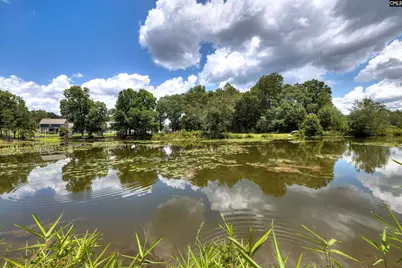 225 Shadowbrook Way, Camden, SC 29020 - Photo 10