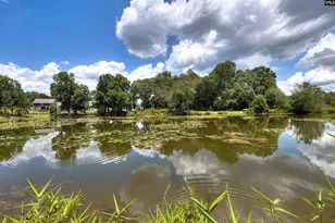 225 Shadowbrook Wy, Camden, SC 29020 - Photo 10