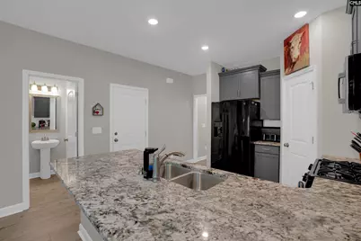 1411 Sweet Gardenia Drive, Blythewood, SC 29016 - Photo 8