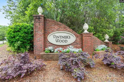 617 River Falls Lane, Lexington, SC 29072 - Photo 52