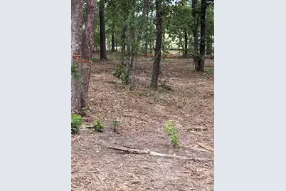 Lot 1 Quattlebaum Drive #Lot 1, Leesville, SC 29070 - Photo 2