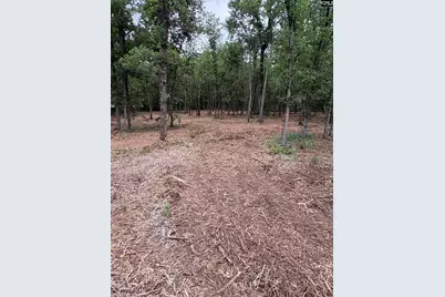 Lot 2 Quattlebaum Drive #Lot 2, Leesville, SC 29072 - Photo 2