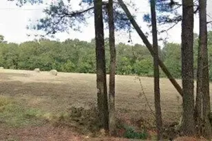 137 Drawdebil Rd, Gilbert, SC 29054 - Photo 1