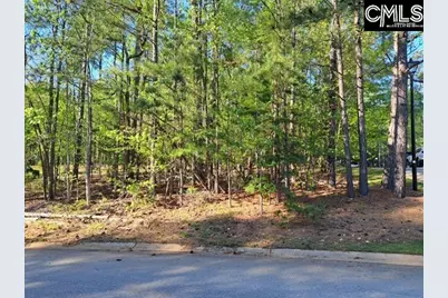 512 Links Pointe Court, Chapin, SC 29036 - Photo 8