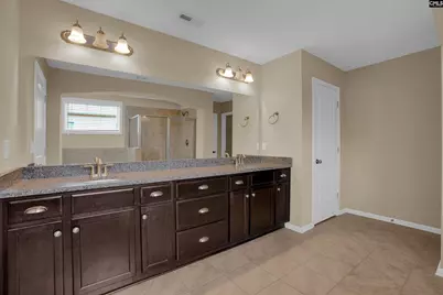 246 Mill House Lane, Lexington, SC 29072 - Photo 30
