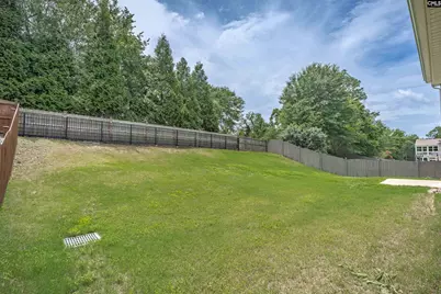 246 Mill House Lane, Lexington, SC 29072 - Photo 44