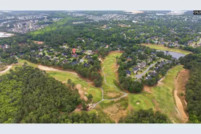 9 Habersham Way, Blythewood, SC 29016 - Photo 48