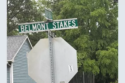 207 Belmont Stakes, Clinton, SC 29325 - Photo 8