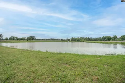 105 Brook Hollow Ct, Lexington, SC 29072 - Photo 40