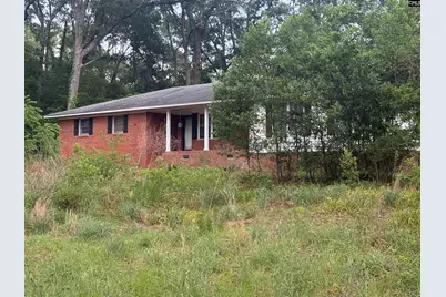60 Savannah Road, Bishopville, SC 29010 - Photo 1