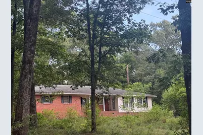 60 Savannah Road, Bishopville, SC 29010 - Photo 2