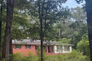 60 Savannah Rd, Bishopville, SC 29010 - Photo 2