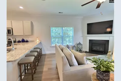 343 Limestone Road, Chapin, SC 29036 - Photo 4