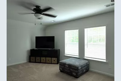 343 Limestone Road, Chapin, SC 29036 - Photo 22