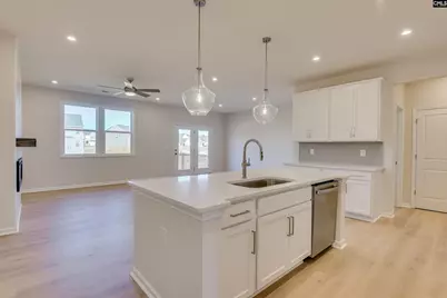 716 Feldspar Court, Chapin, SC 29036 - Photo 4