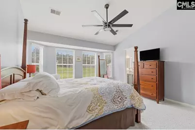 224 Ivy Hill Court, Lexington, SC 29072 - Photo 8