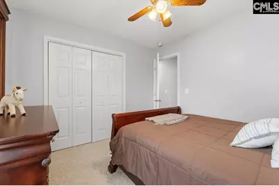 224 Ivy Hill Court, Lexington, SC 29072 - Photo 14