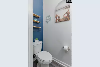 822 Ruskin Drive, Chapin, SC 29036 - Photo 14