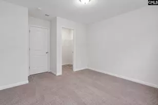 822 Ruskin Dr, Chapin, SC 29036 - Photo 20