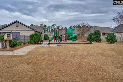 822 Ruskin Drive, Chapin, SC 29036 - Photo 38