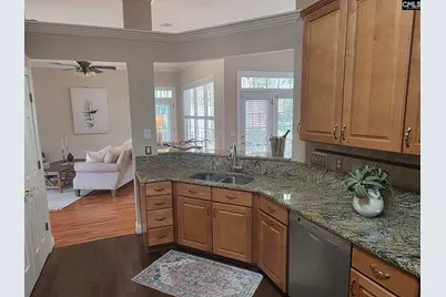 216 Pointe Overlook Drive, Chapin, SC 29036 - Photo 16