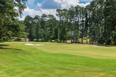216 Pointe Overlook Drive, Chapin, SC 29036 - Photo 32
