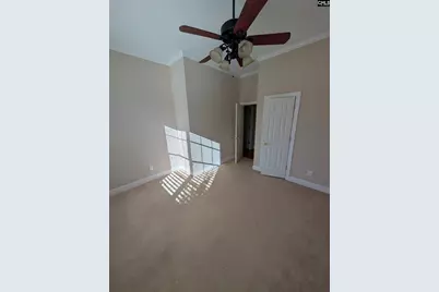 216 Pointe Overlook Drive, Chapin, SC 29036 - Photo 22
