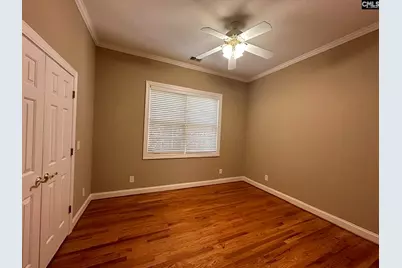 216 Pointe Overlook Drive, Chapin, SC 29036 - Photo 12