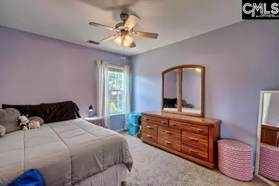 209 Eagle Pointe Drive, Chapin, SC 29036 - Photo 26