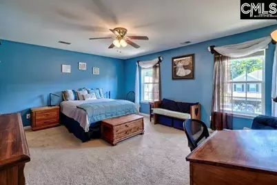 209 Eagle Pointe Drive, Chapin, SC 29036 - Photo 30