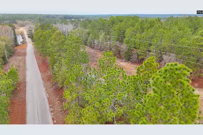 0 Browns Pond Road, Wagener, SC 29164 - Photo 4