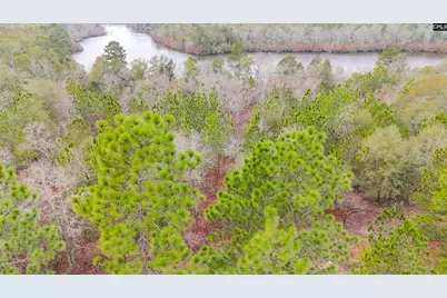 0 Browns Pond Road, Wagener, SC 29164 - Photo 2
