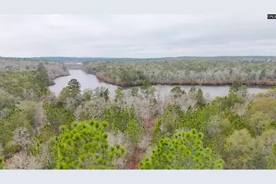 0 Browns Pond Road, Wagener, SC 29164 - Photo 1