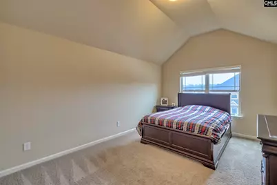 194 Westcott Ridge Road, Chapin, SC 29036 - Photo 16
