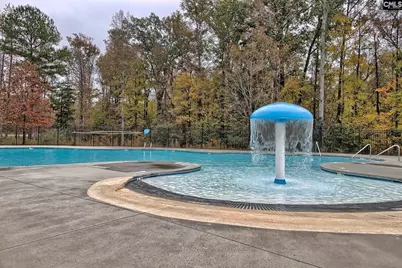 194 Westcott Ridge Road, Chapin, SC 29036 - Photo 26
