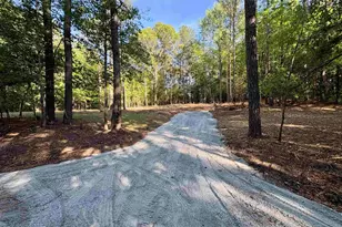 310 Douglas Rd, Pomaria, SC 29126 - Photo 1