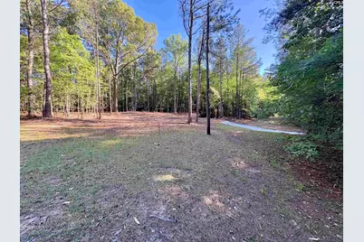 310 Douglas Road, Pomaria, SC 29126 - Photo 2