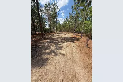 350 Payne Pond Road Lot # 11, Westville, SC 29175 - Photo 1