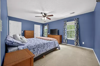 371 Eagle Pointe Drive, Chapin, SC 29036 - Photo 18