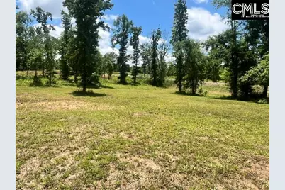 133 Lands End Lane #Lot 205, Prosperity, SC 29127 - Photo 4