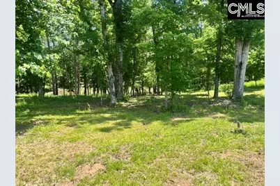 133 Lands End Lane #Lot 205, Prosperity, SC 29127 - Photo 2