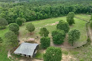 1141 Crosshill Rd, Hopkins, SC 29061 - Photo 4
